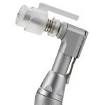 bone recovery mont